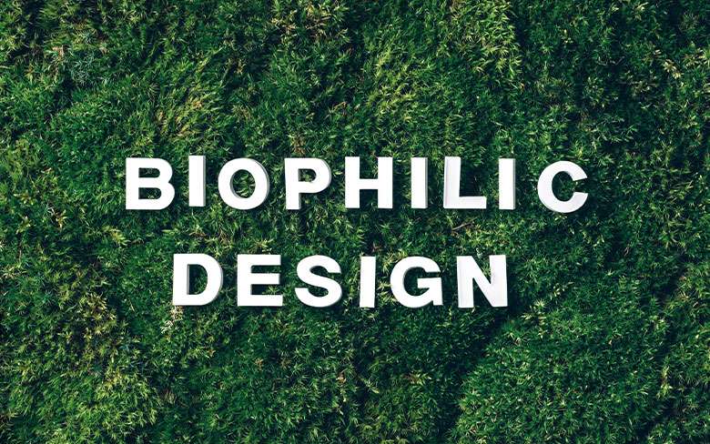 4 best ways to improve the indoor environment with biophilic designs