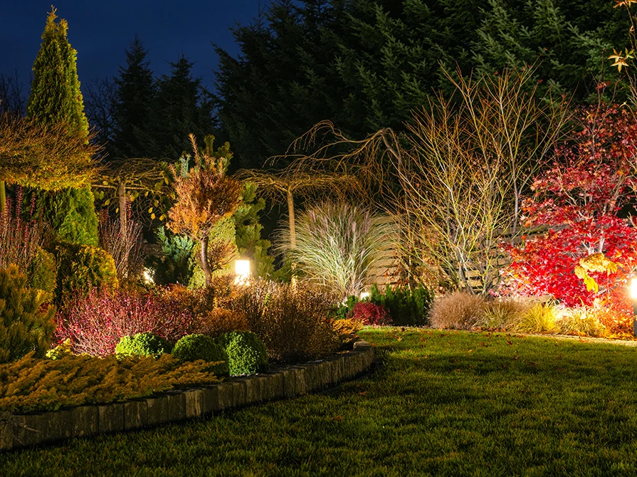 blossom-brilliance-a-look-at-the-most-creative-garden-lighting-techniques